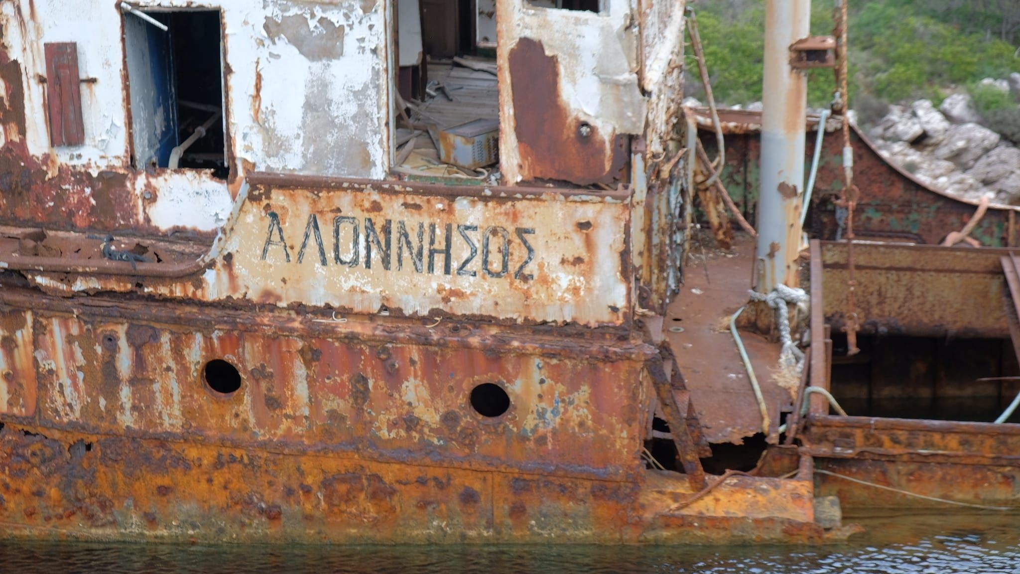Η φώκια Κωστής έγινε ντοκιμαντέρ