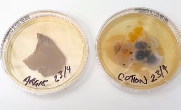 Άπλυτη μαξιλαροθήκη vs κάθισμα τουαλέτας: Πού κατοικούν περισσότερα βακτήρια;