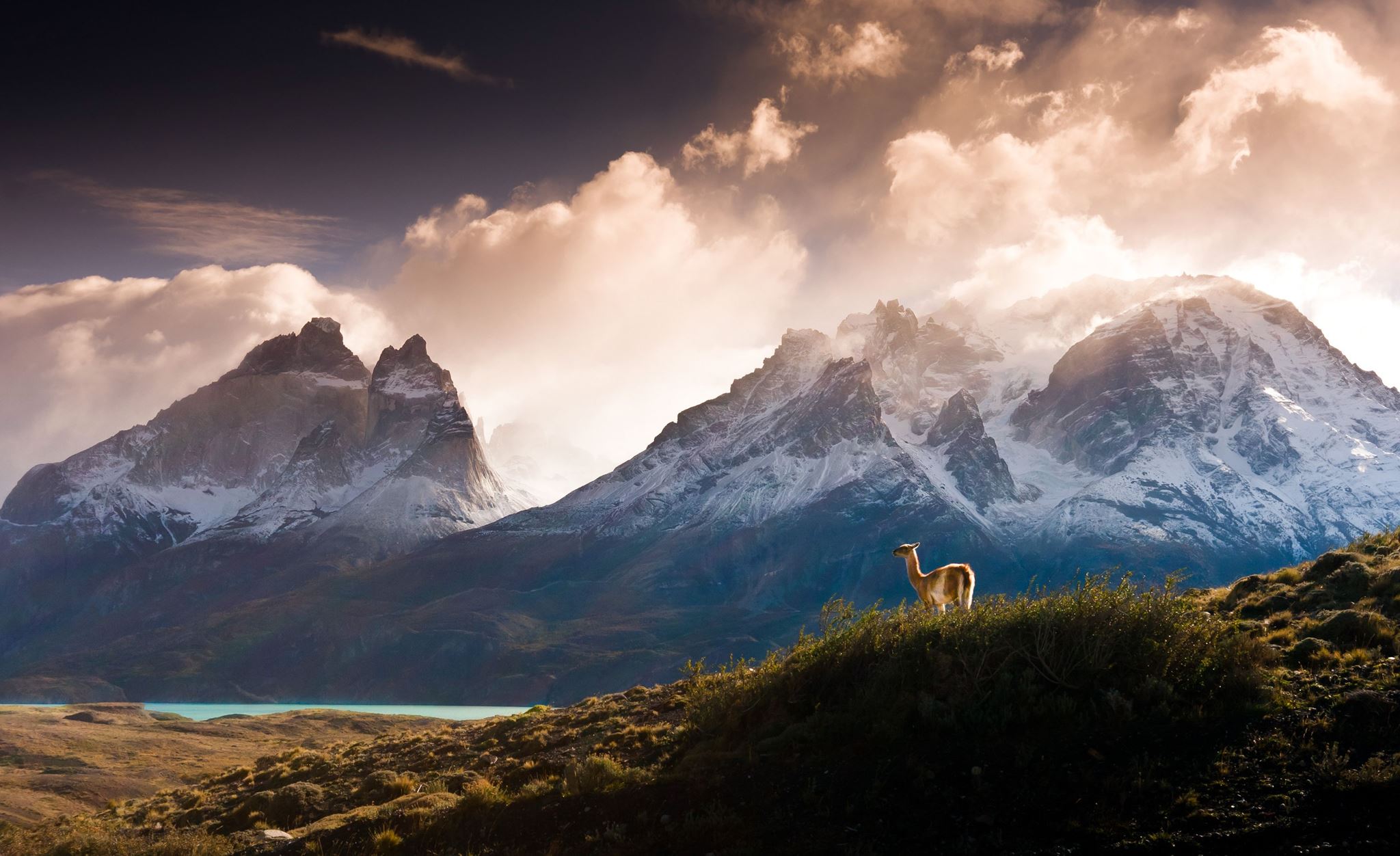 Στις άγριες στέπες, στις παγωμένες λίμνες και στα καταπράσινα λιβάδια της Χιλής