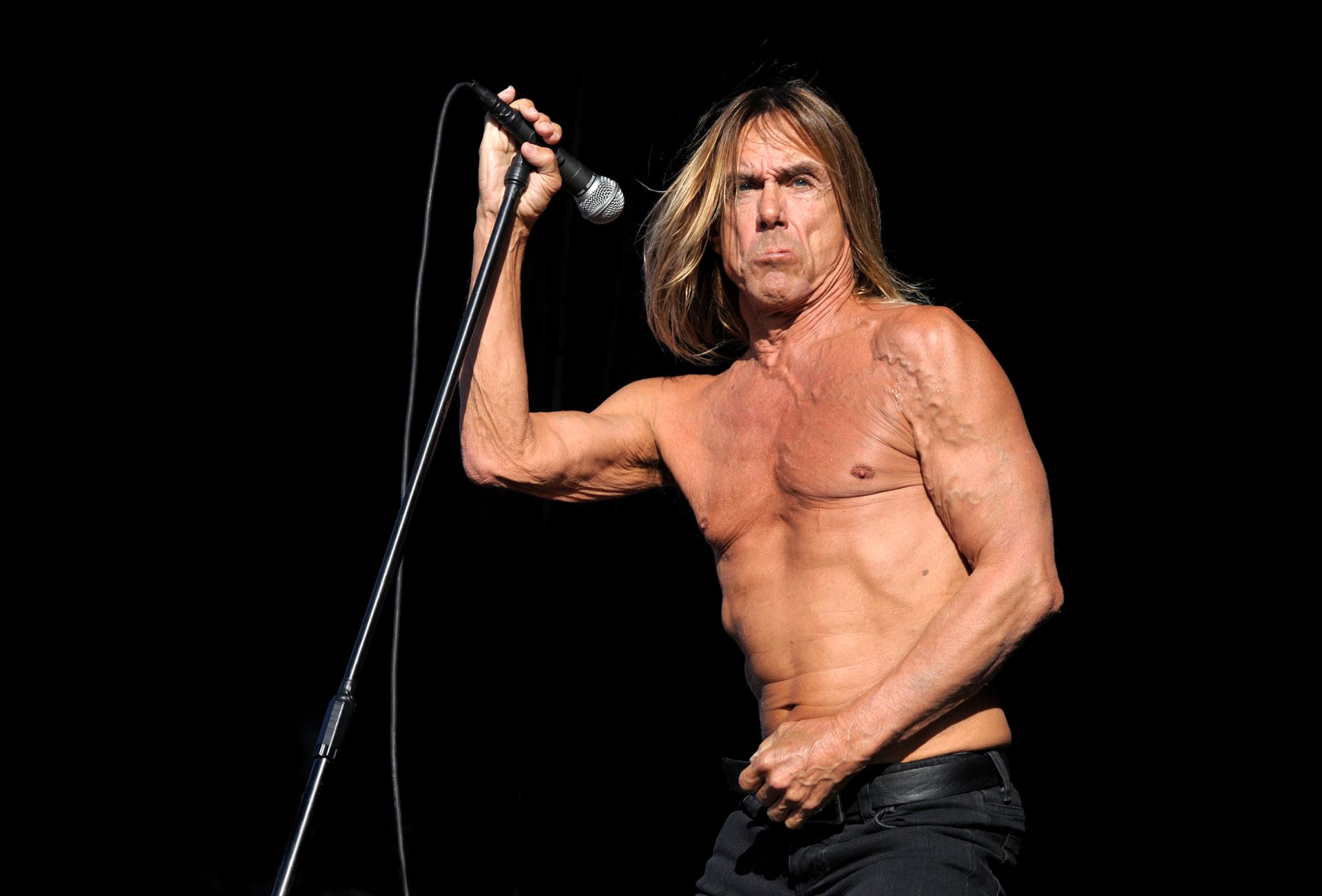 Ένας προφήτης που τον έλεγαν Iggy