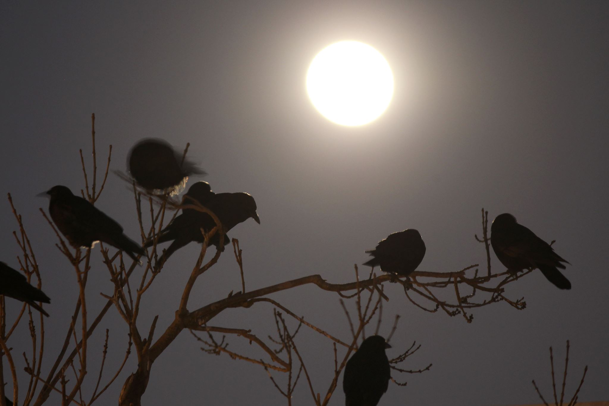 Πιο ζεστές οι νύχτες στην Ευρώπη λόγω της κλιματικής αλλαγής
