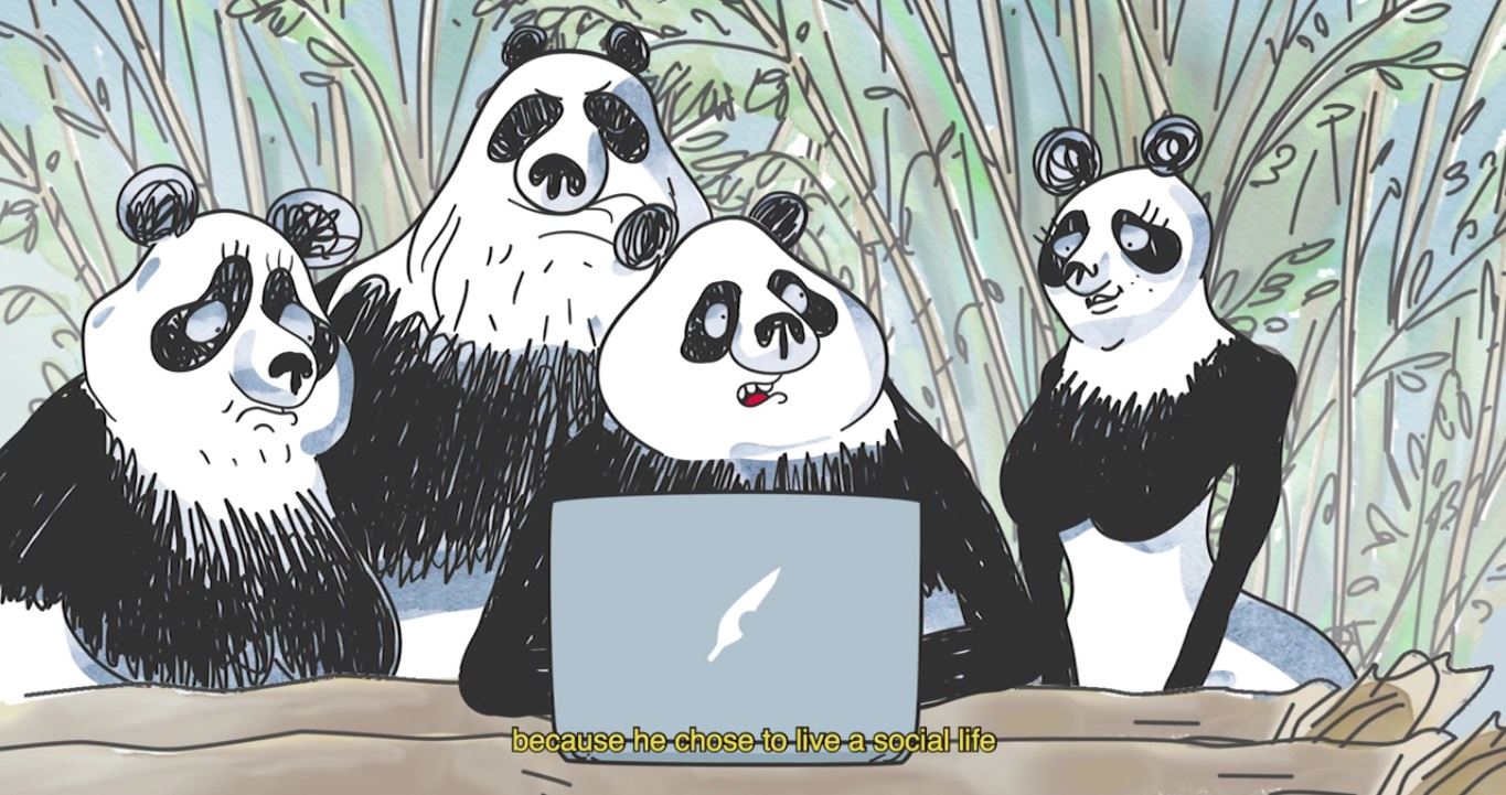 Animasyros 12: Tα highlights του φετινού προγράμματος