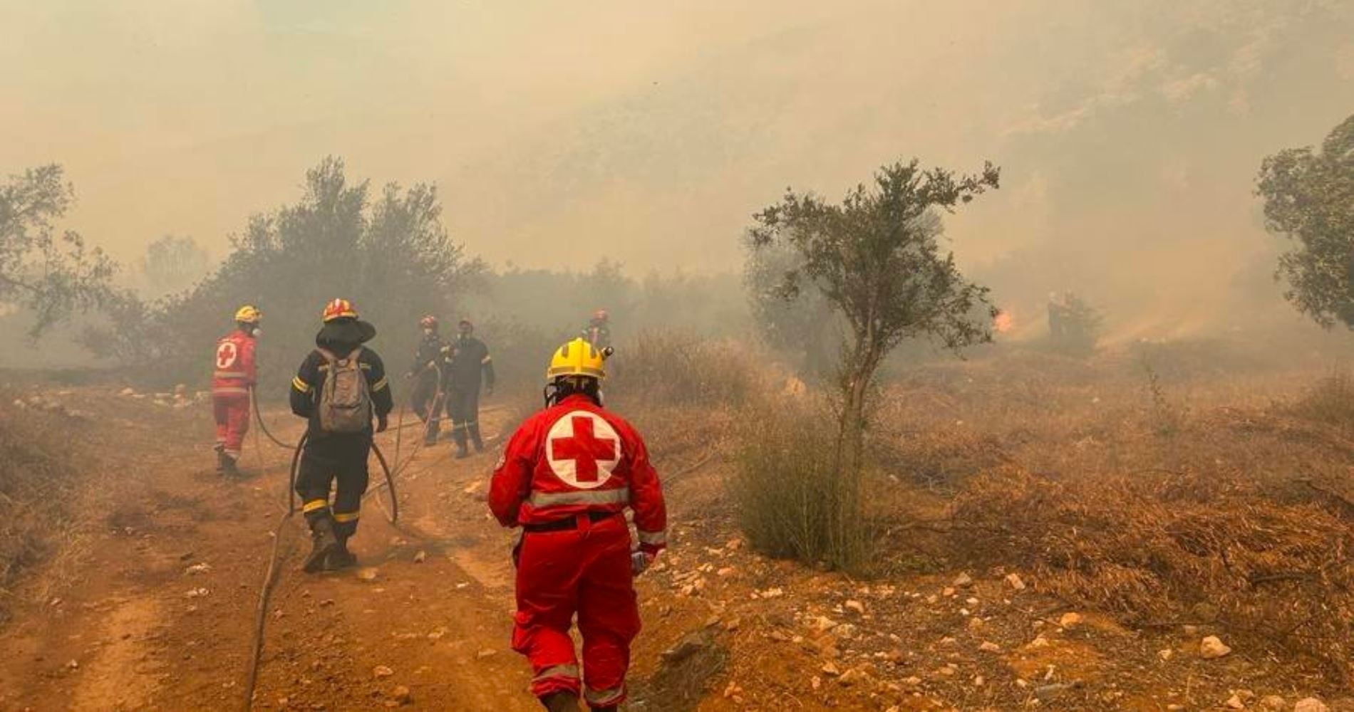 Μάχη με τις φλόγες σε Βοιωτία, Εύβοια, Καβάλα, Κύθνο - Οι εξελίξεις σε όλα τα μέτωπα