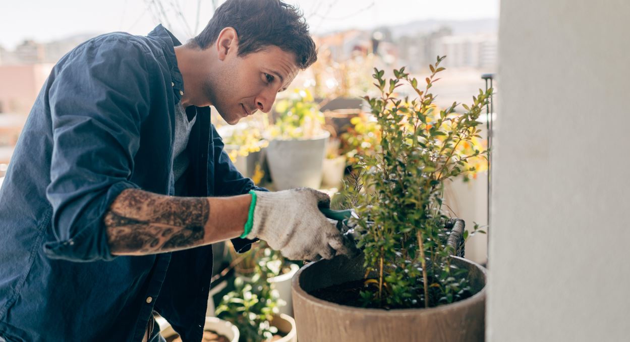 Κηπουρική, η νέα ψυχοθεραπεία