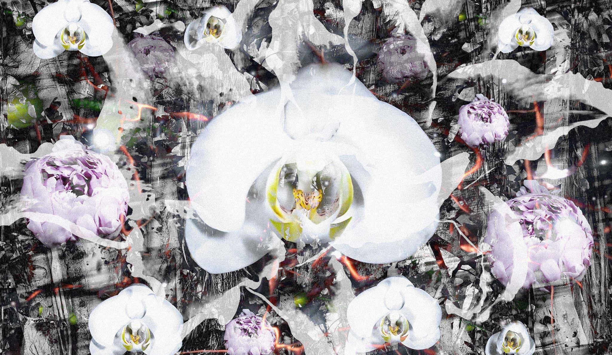 Ο εικαστικός Κώστας Πηγαδάς γεφυρώνει επιστήμη και τέχνη