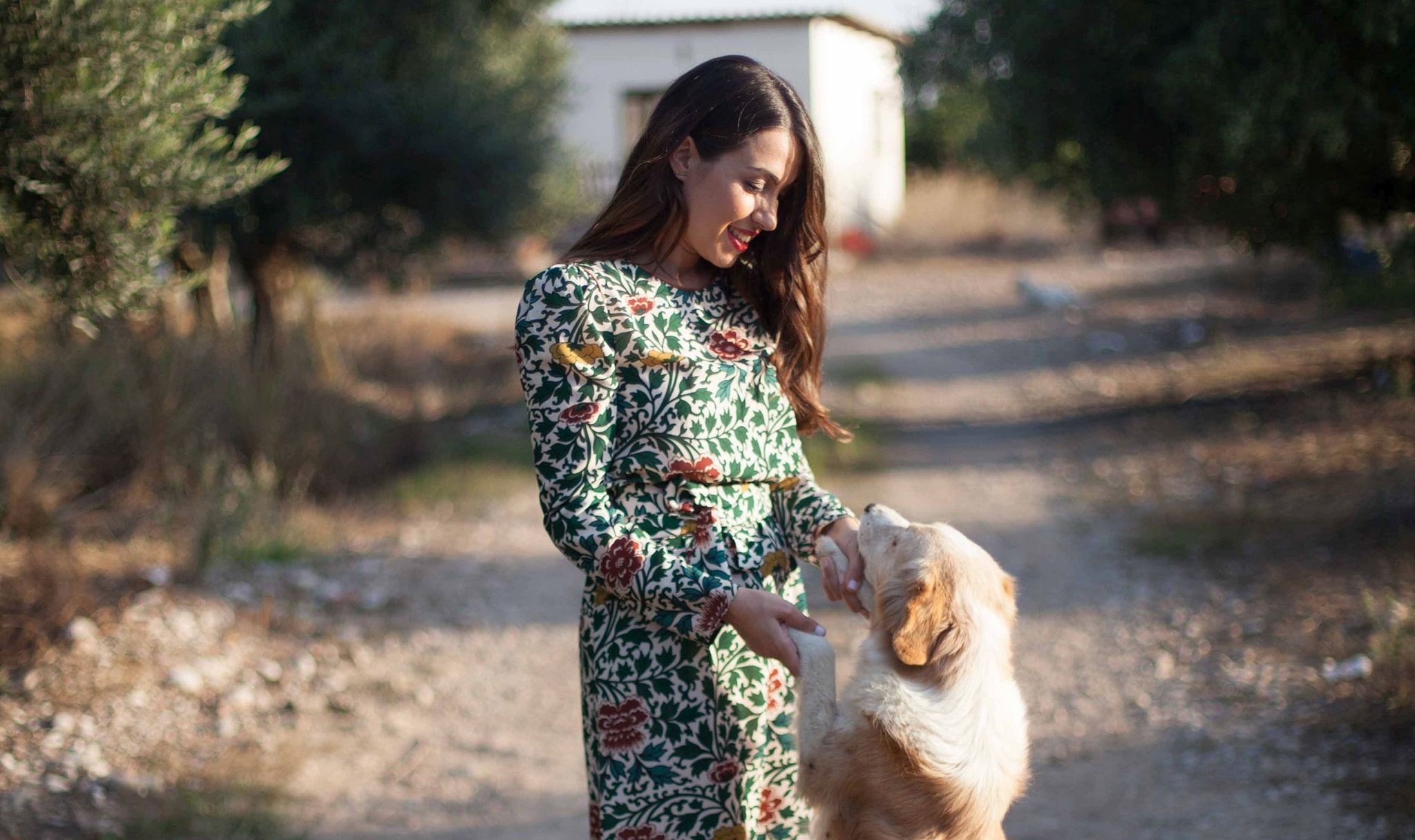 Stray Stories, ένα YouTube κανάλι με αδέσποτες ιστορίες