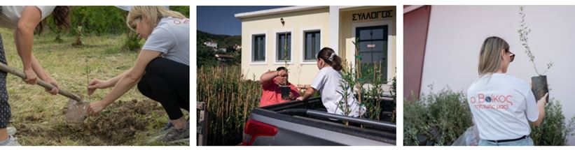 To φυσικό μεταλλικό νερό Βίκος τίμησε και φέτος την Παγκόσμια Ημέρα Γης με την δεντροφύτευση 2.000 καρποφόρων δέντρων σε βόρεια Εύβοια & Μάνη