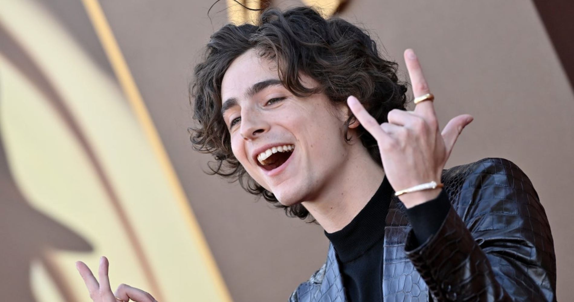 Εσύ θα φορούσες το κροκό κοστούμι του Timothée Chalamet;