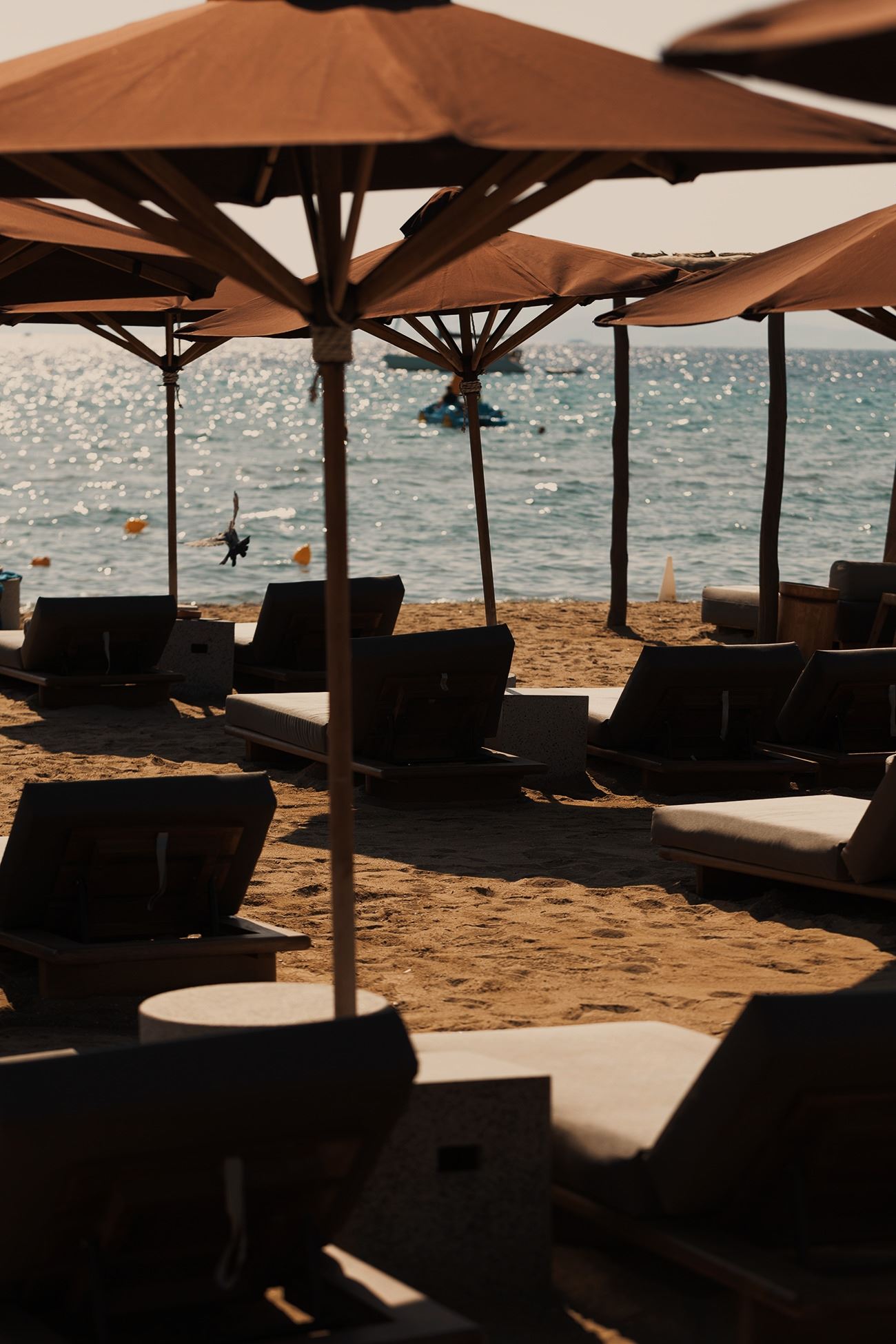 The C - Beach Restaurant: Η παραλία γίνεται υπέροχος all day προορισμός