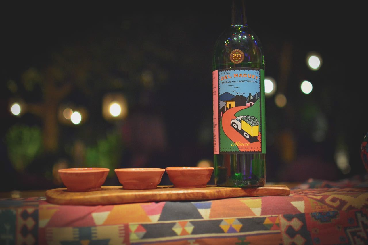 Ο αθηναϊκός παράδεισος της αγαύης βρίσκεται σε μια αυλή του Χαλανδρίου