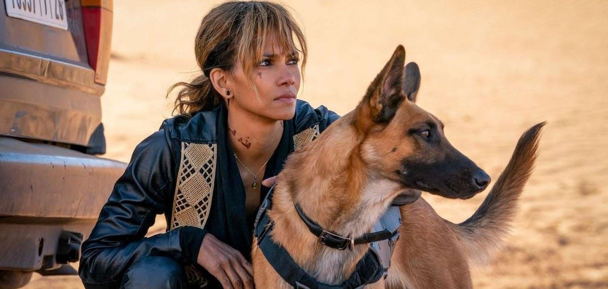 Πόσο ακριβείς είναι οι σκυλομαχίες στο John Wick 3 ;