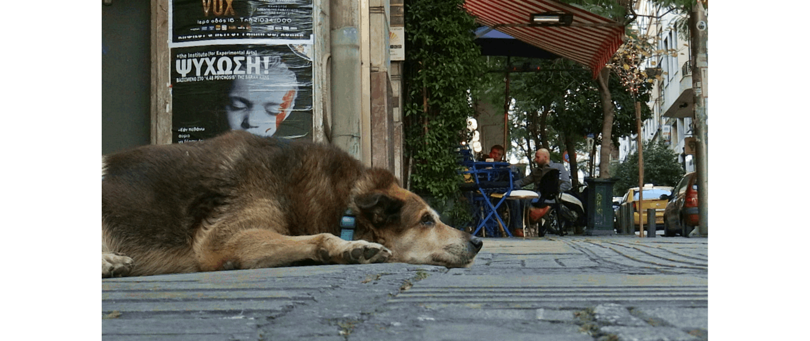Αδέσποτες βόλτες με τους άγνωστους Αθηναίους