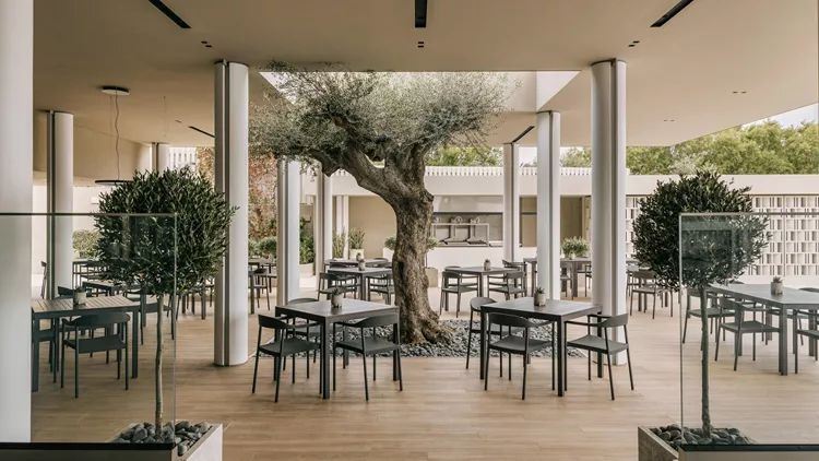 Meltemi | Η νέα πρόταση στην Αθηναϊκή Ριβιέρα που δίνει γεύση στο καλοκαίρι σας