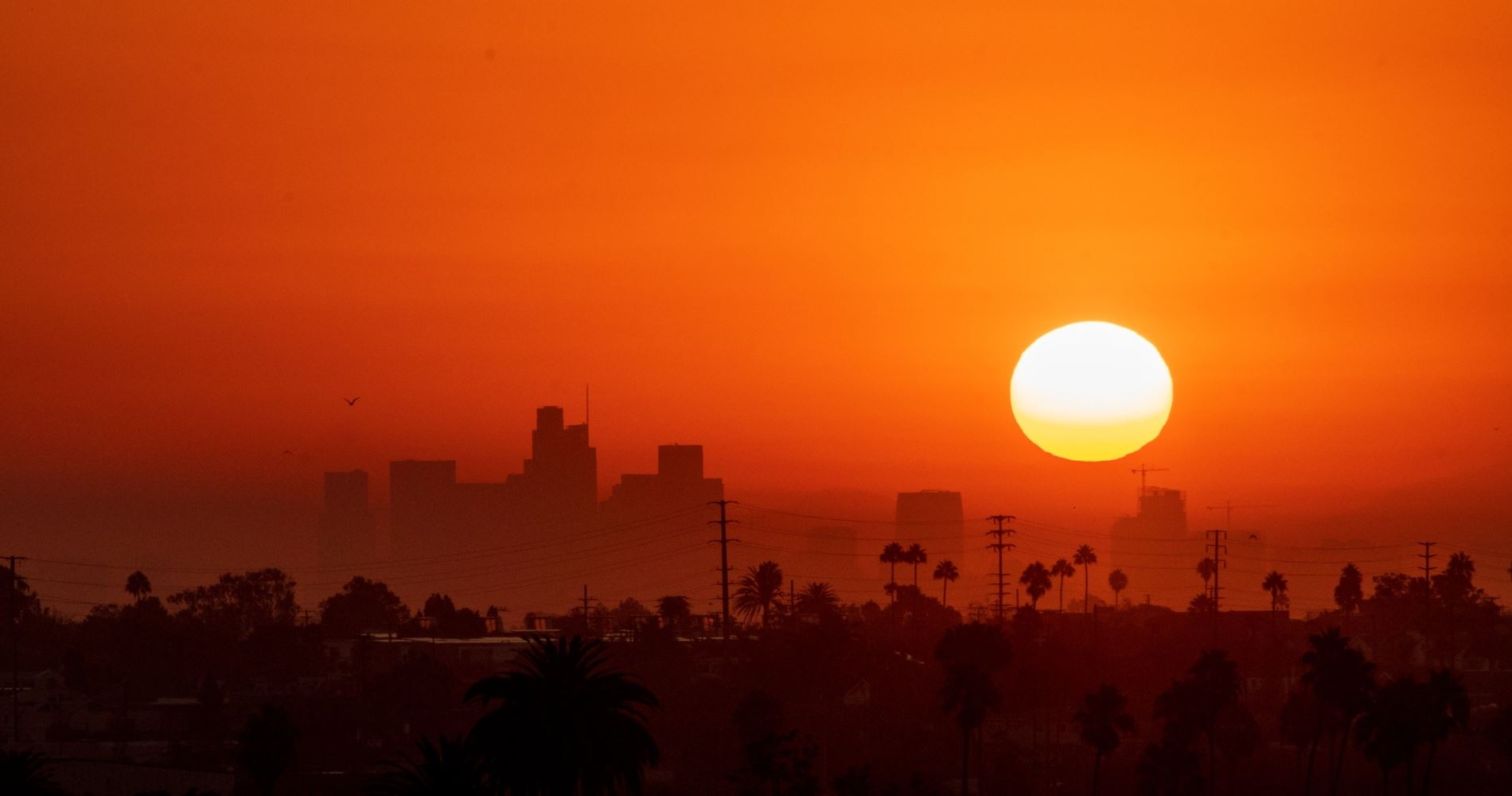 Οι επιστήμονες έχουν κακά μαντάτα για τον καύσωνα και την καρδιά μας