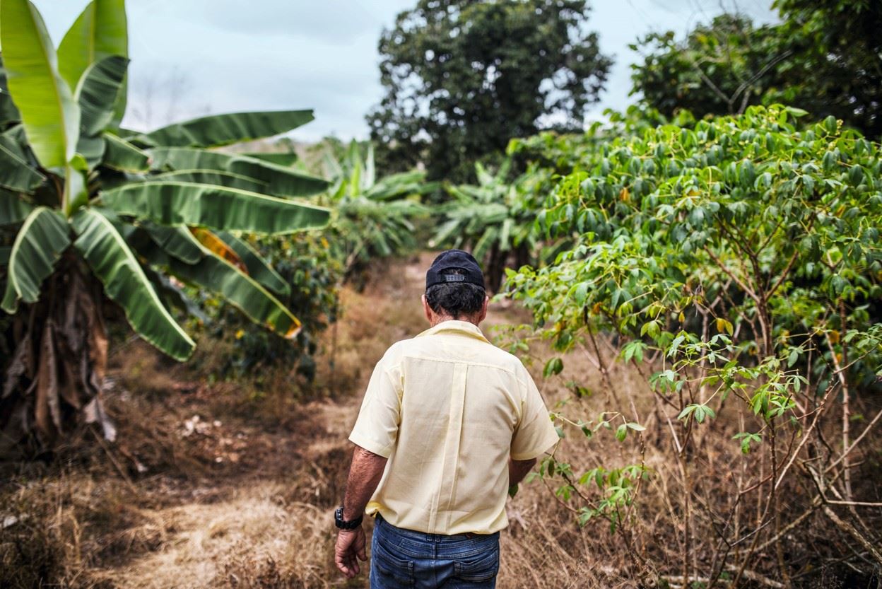 Ο νέος καφές της Nespresso έρχεται από τα Νησιά Γκαλαπάγκος