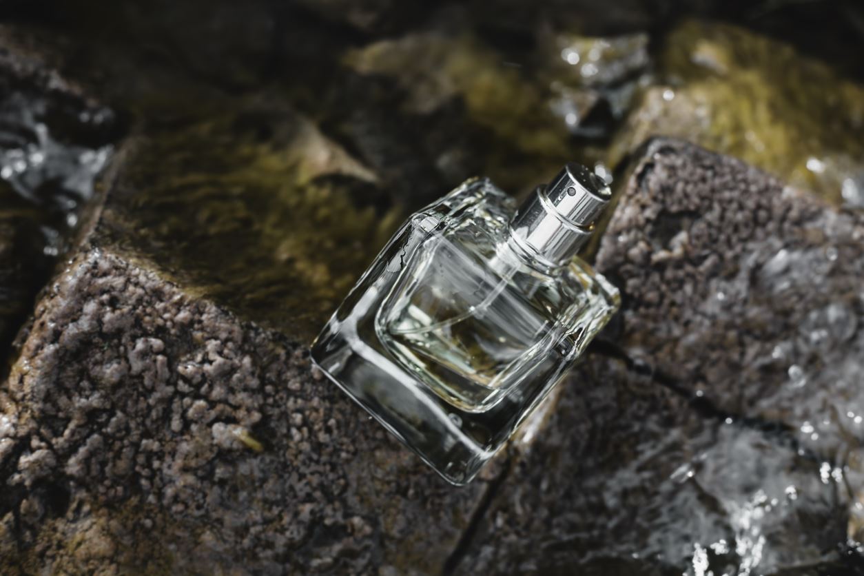 Τα ξυλώδη αρώματα του φετινού χειμώνα