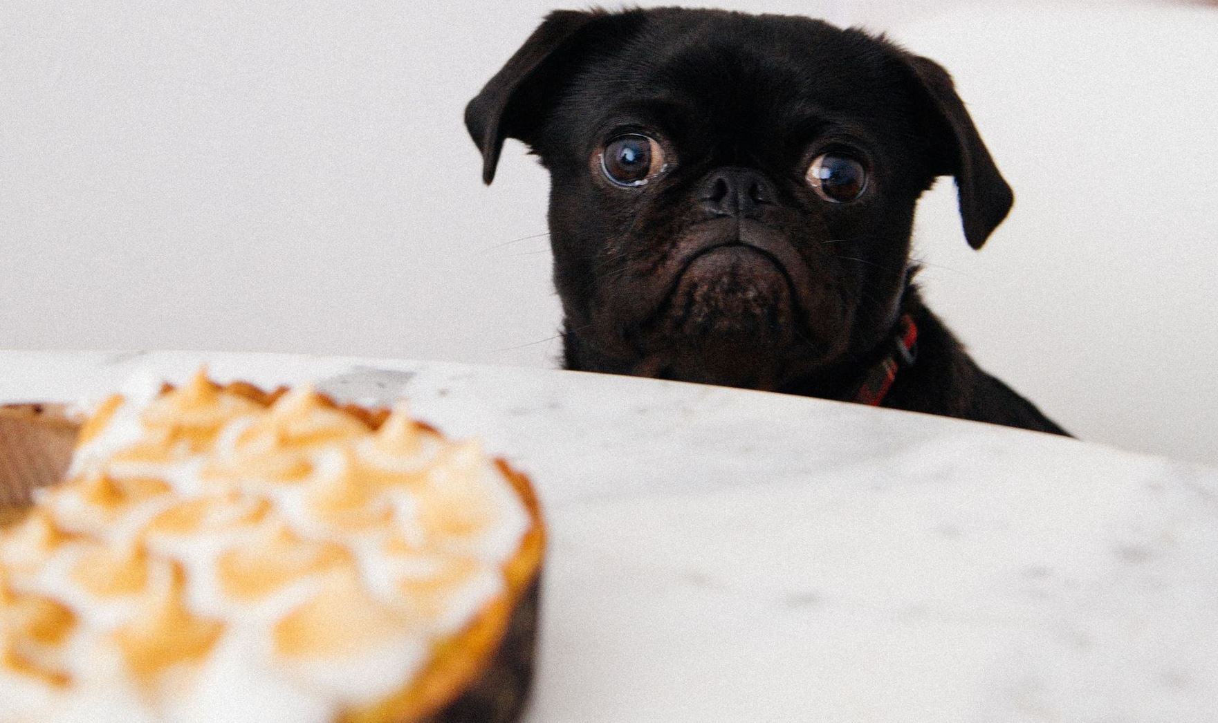 Η νηστεία που όλοι πρέπει να ακολουθήσουμε