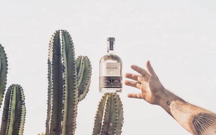 Τα mezcals του φθινοπώρου