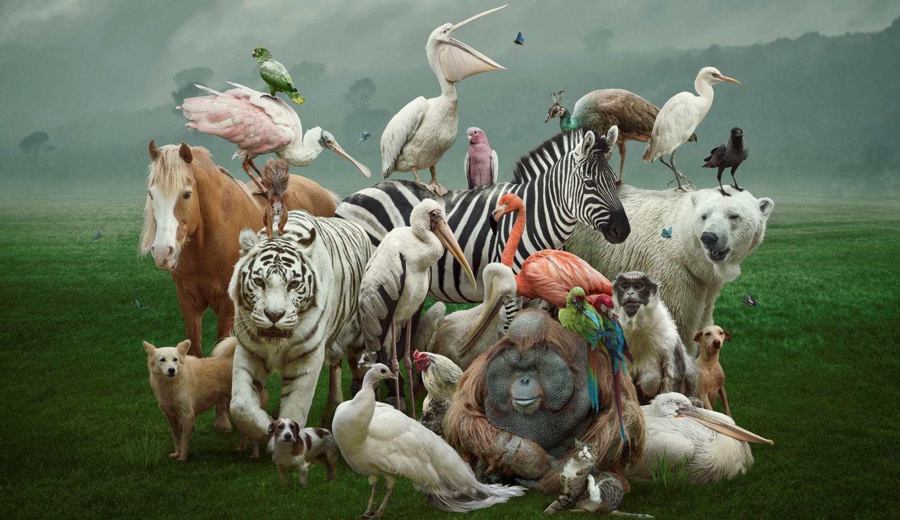 Παγκόσμια Ημέρα των Ζώων: Από την αρχαιότητα στο σήμερα