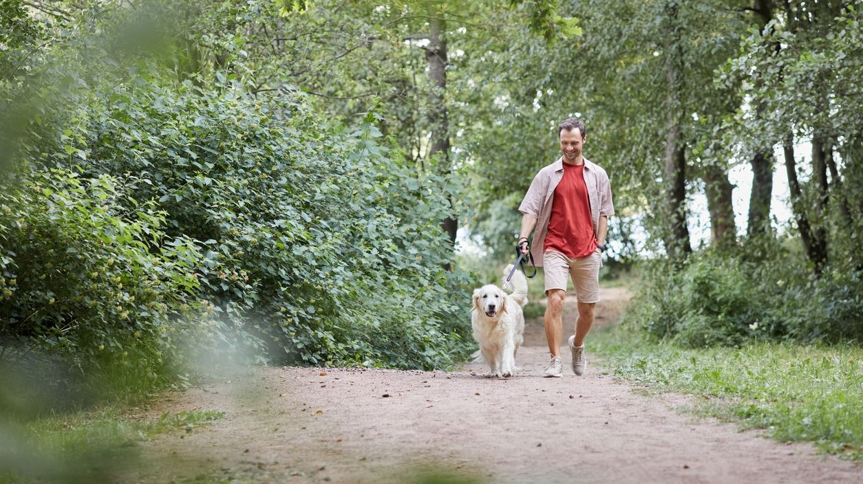 Καλό θα είναι να προσέχεις διπλά όταν μαζεύεις τα κακά του σκύλου σου
