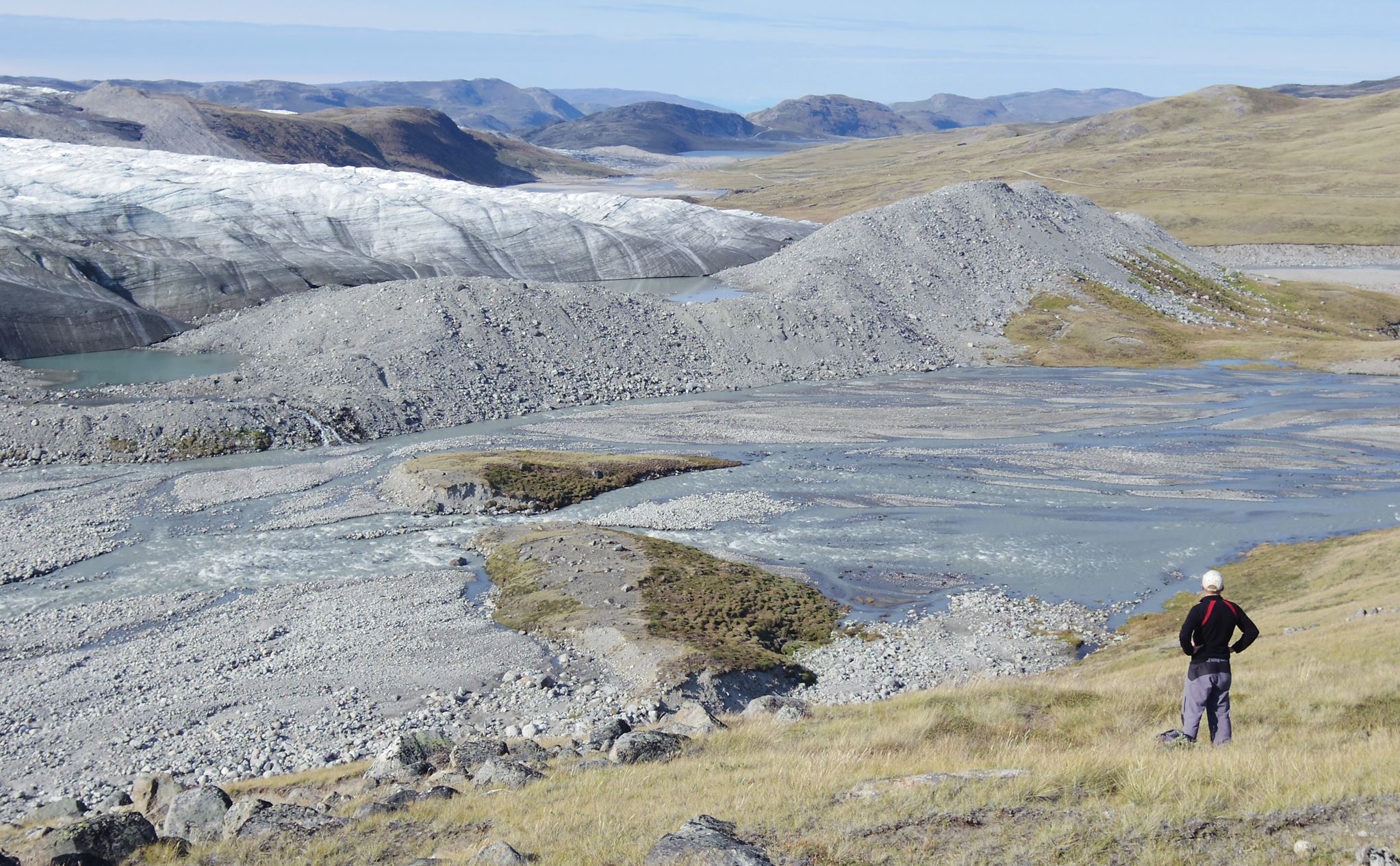 Σε άλλα νέα, η Γροιλανδία ανθίζει