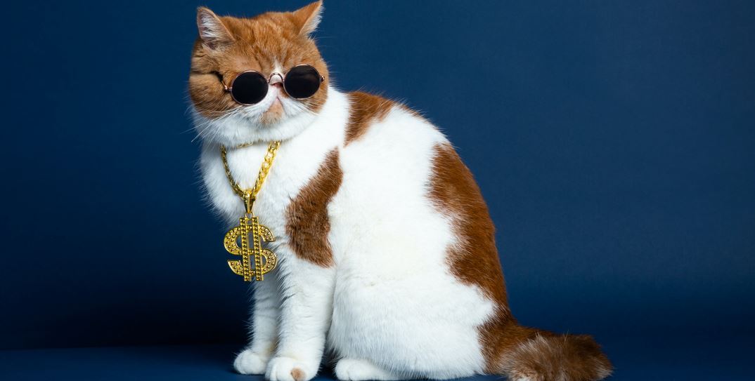 Τα πλουσιότερα και πιο επιδραστικά κατοικίδια ζώα στον κόσμο