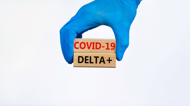 Τι ακριβώς είναι η μετάλλαξη Δέλτα Plus