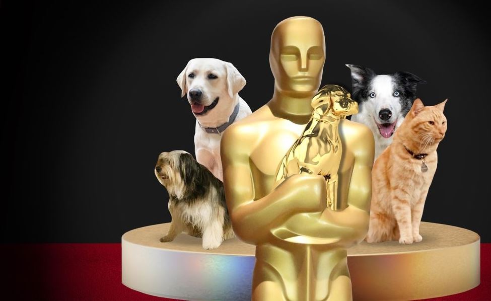 Τετράποδοι και μη, πρωταγωνιστές που αξίζουν βραβείο Όσκαρ