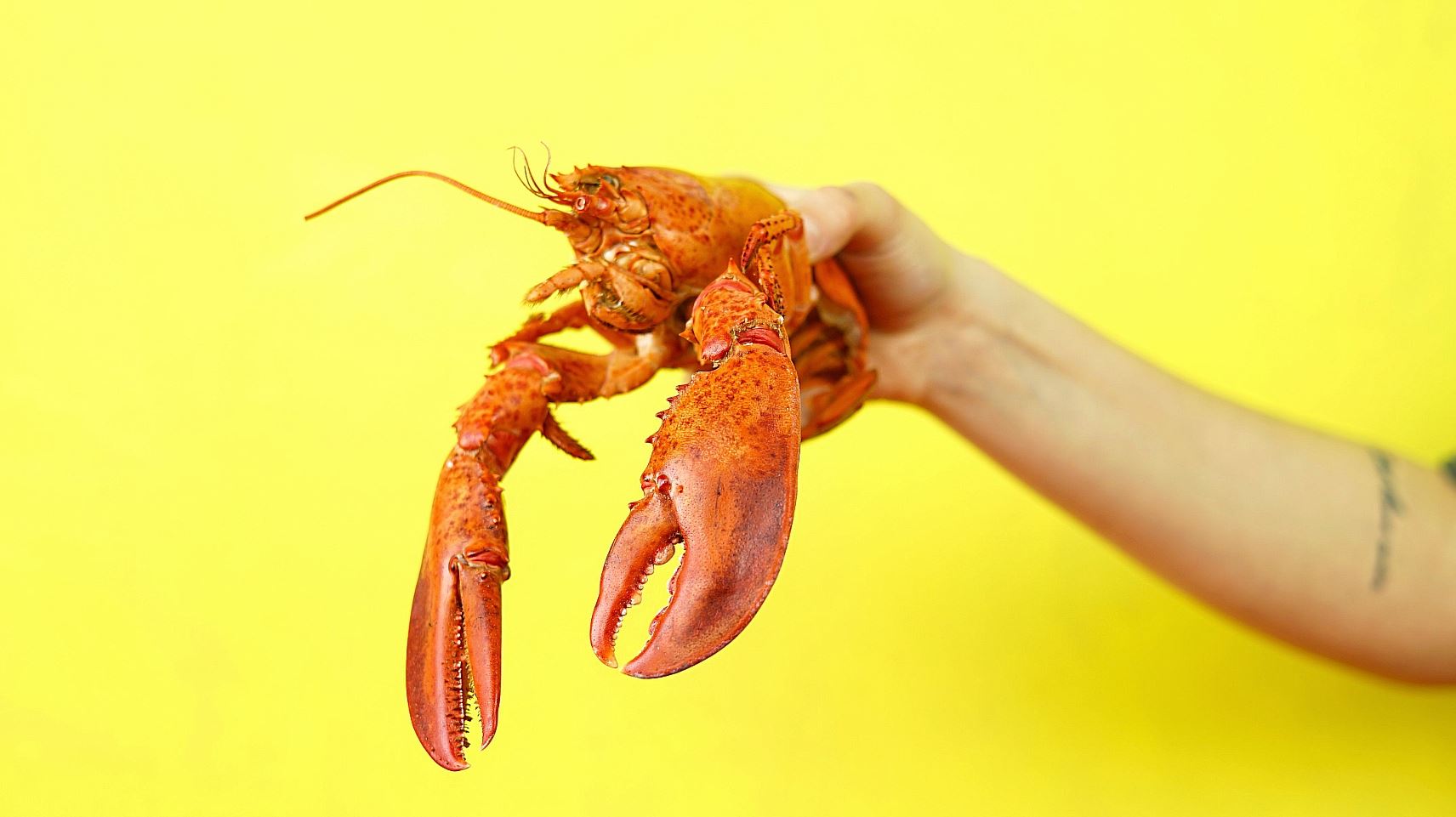 Ο αστακός και μία γαστρονομική σύγχυση