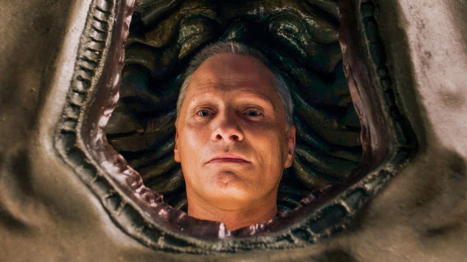 Οι πιο αξιομνημόνευτες ταινίες του David Cronenberg