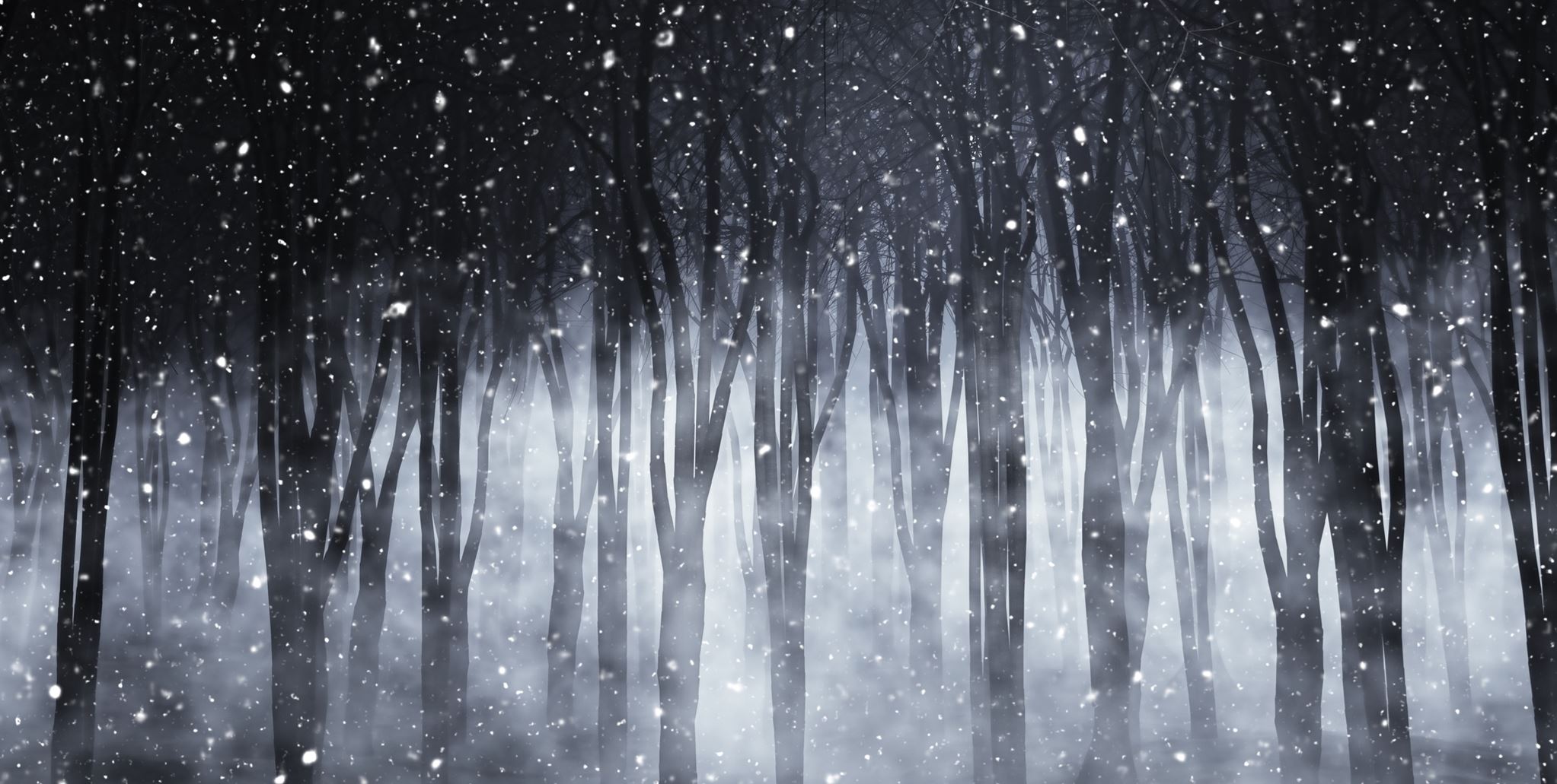 Ακόμη και τα Χριστούγεννα, γίνονται εγκλήματα