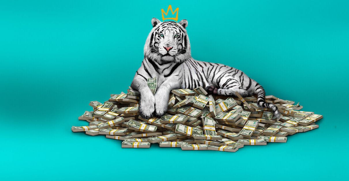The White Tiger: Το επόμενο μεγάλο hit του Netflix
