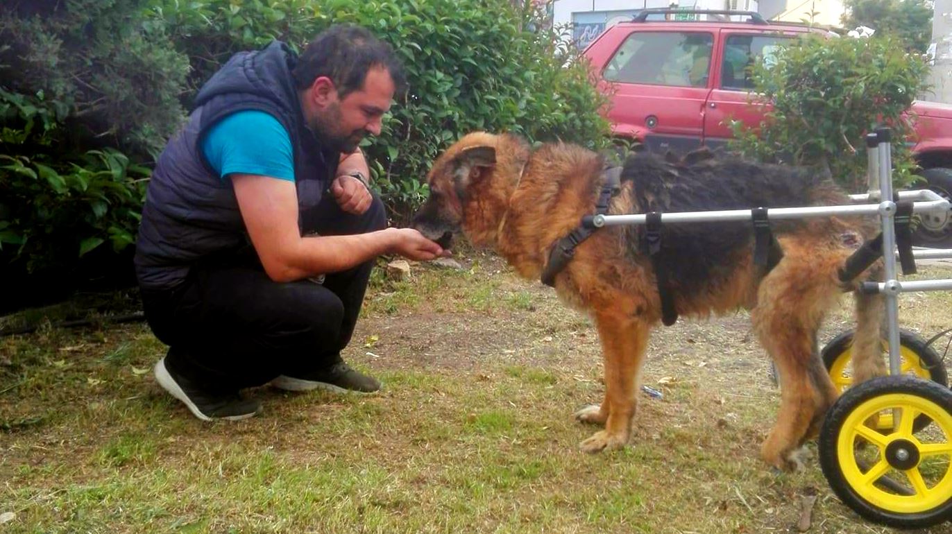 Ο Βασίλης Τζιγκούρας έχει φτιάξει πάνω από 1.200 αναπηρικά αμαξίδια για ζώα
