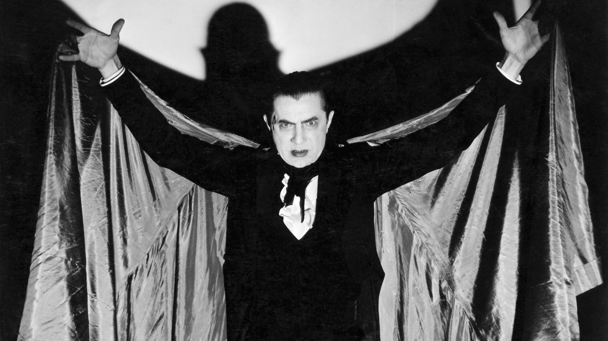 Bela Lugosi, η ζωή του πέρα από τον Κόμη Δράκουλα