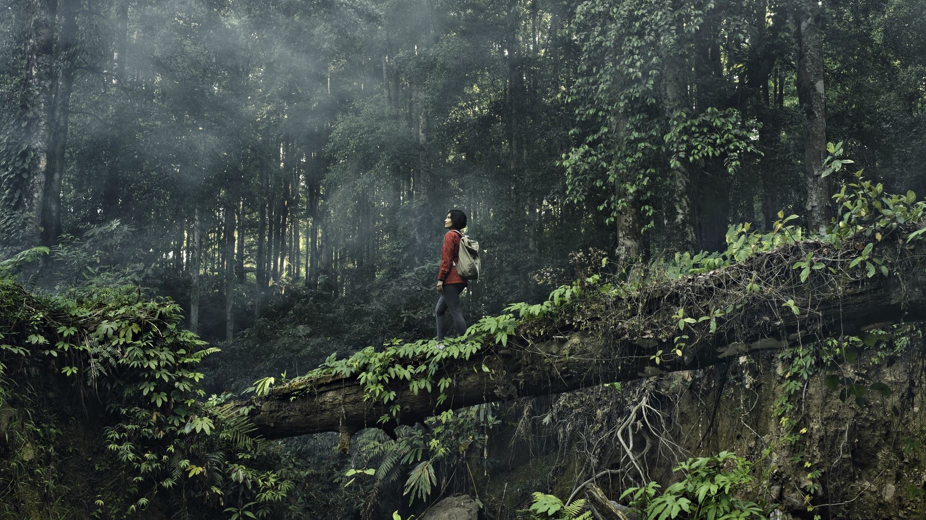 Η Ινδονησία κατασκευάζει νέα πρωτεύουσα μέσα στην ζούγκλα