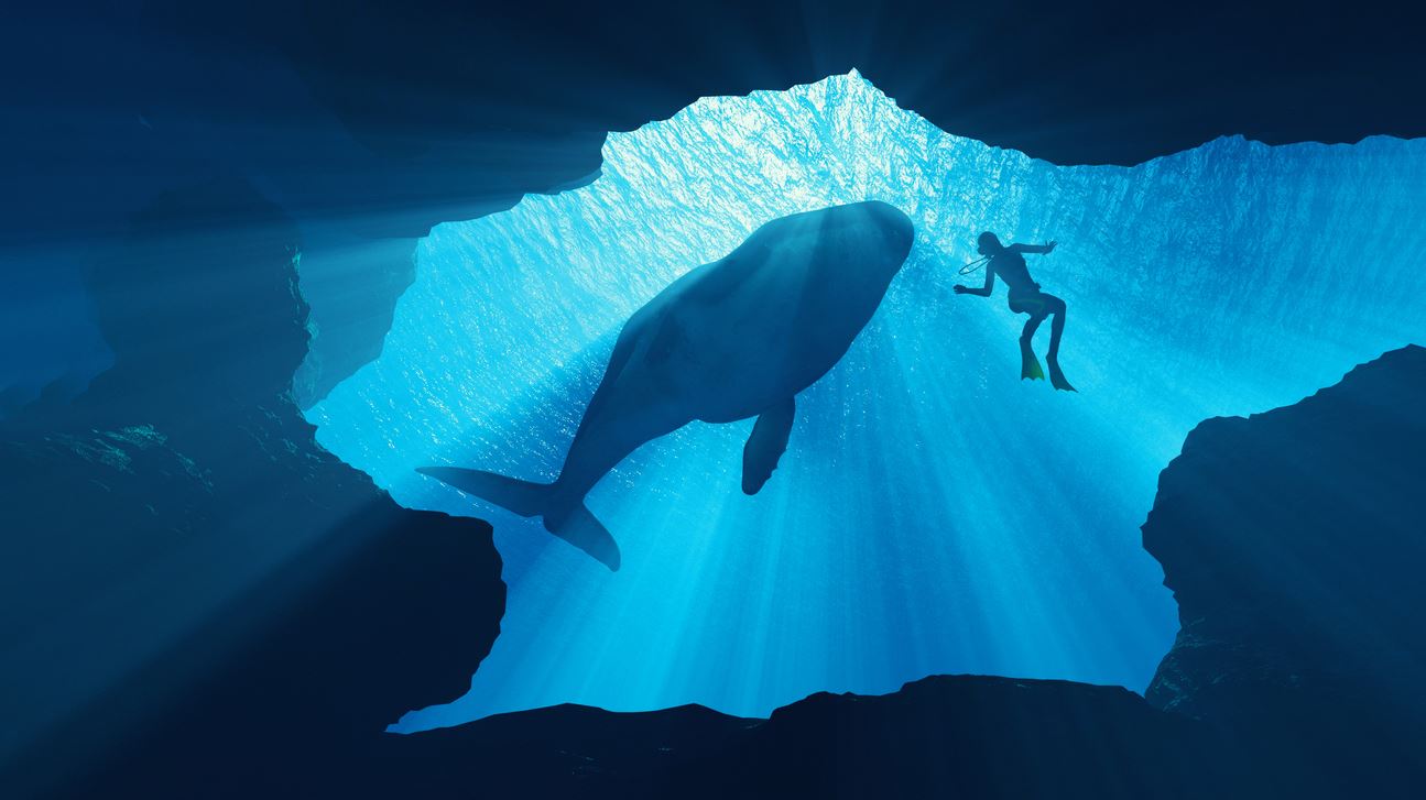 Ένας οδηγός επιβίωσης σε περίπτωση που σε καταπιεί φάλαινα