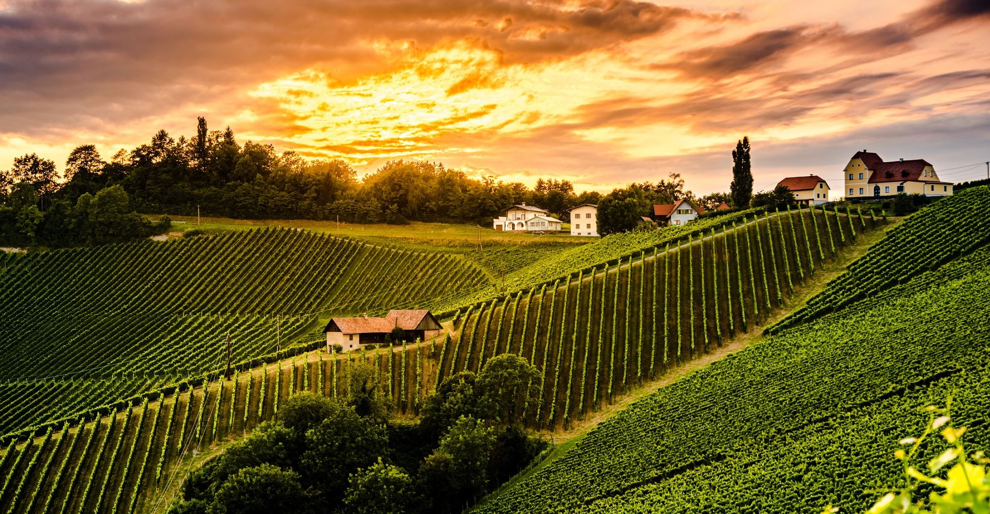 Τα 100 κορυφαία οινοποιεία του κόσμου για το 2020