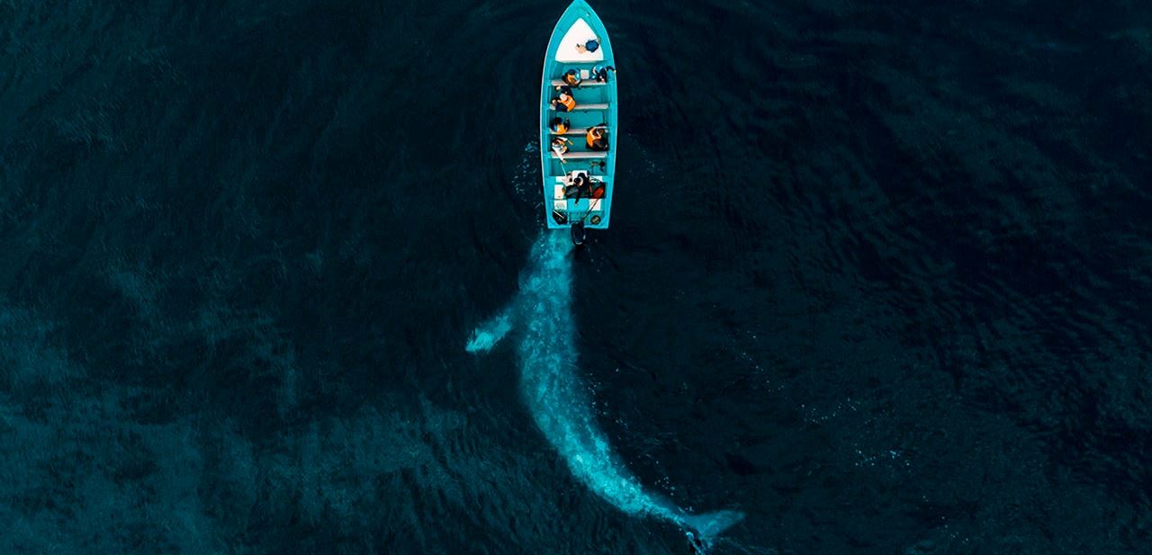 Οι ομορφότερες φωτογραφίες με drone για το 2020