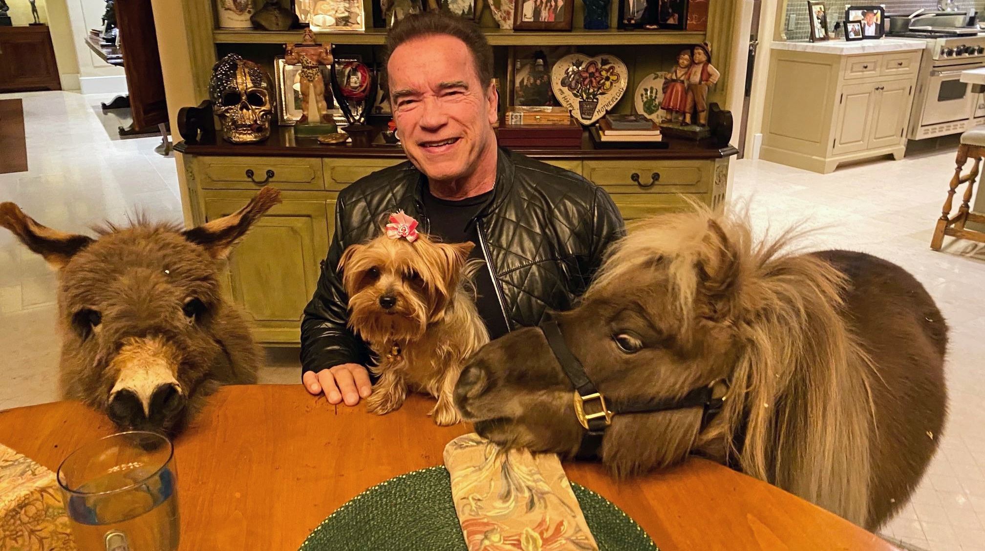 Celebrities σε καραντίνα, οι φωτογραφίες