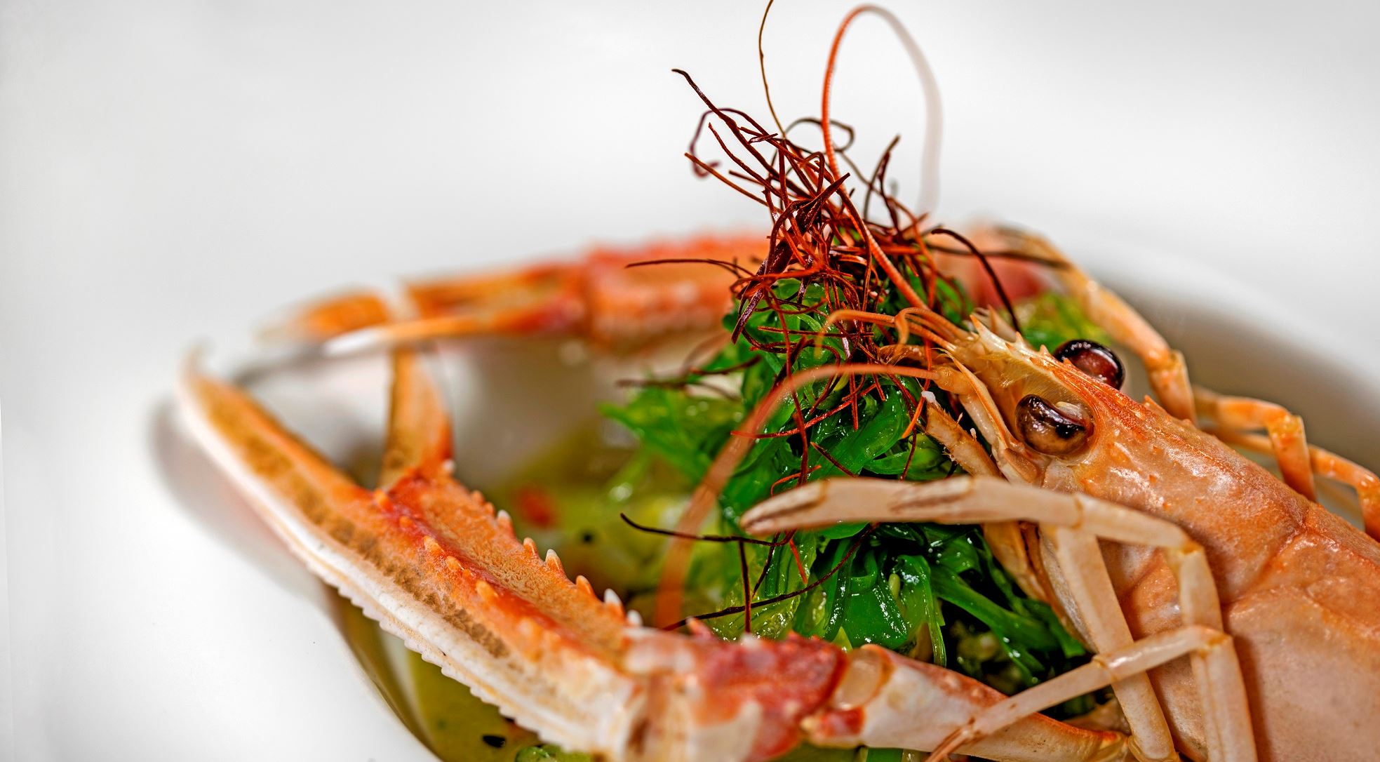 Ακροβόλι: Εκλεκτή ψαροφαγία στα νότια προάστια