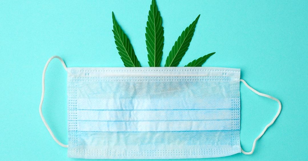 Kάνναβη εναντίον κορονοϊού