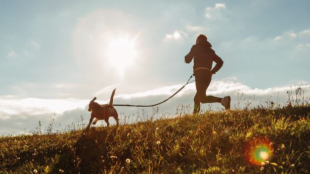 To Canicross είναι η καλύτερη προπόνηση για σένα και τον σκύλο σου