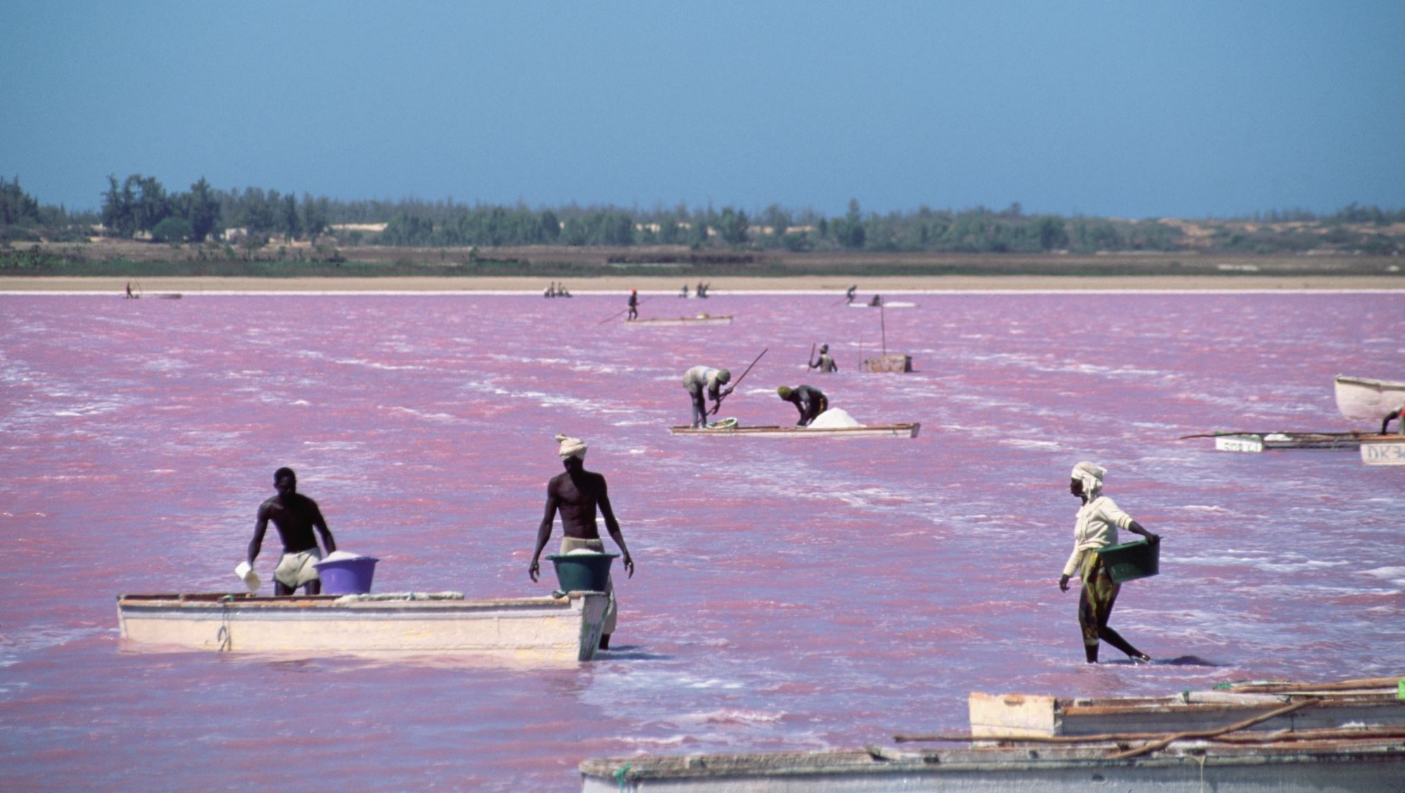 Ρέτμπα, η ροζ λίμνη της Σενεγάλης