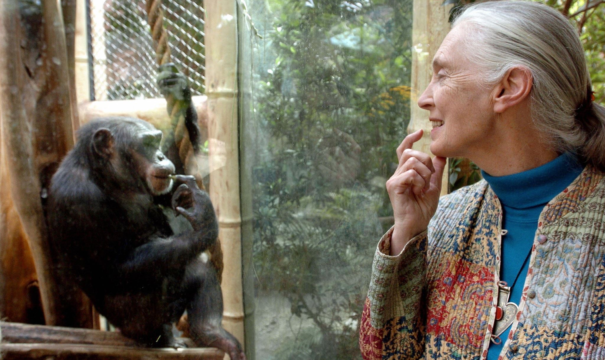 Έφυγε από τη ζωή η 'αληθινή ηρωίδα του πλανήτη' Jane Goodall