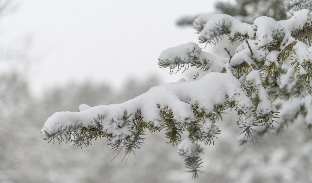 Γιατί ο Μάρτιος ήταν ψυχρότερος από τους μήνες του χειμώνα