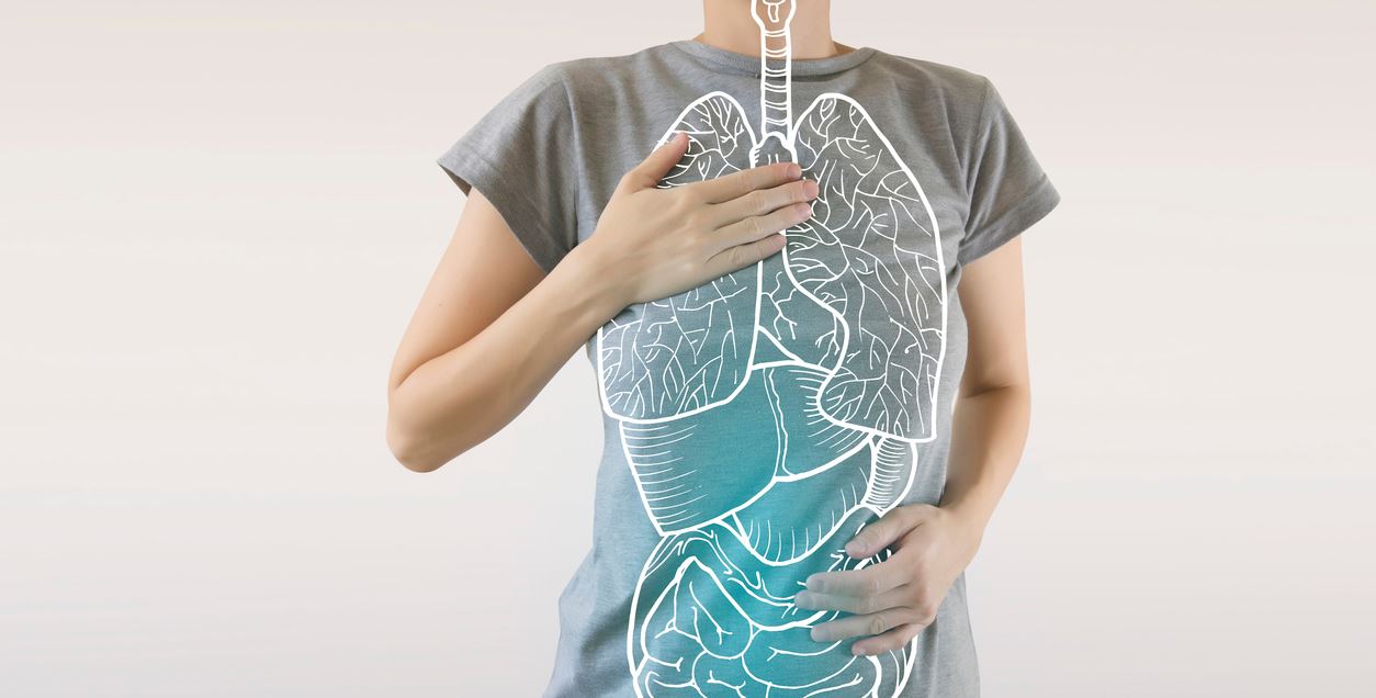 Ανοσοποιητικό σύστημα, 5 ενδιαφέροντα facts