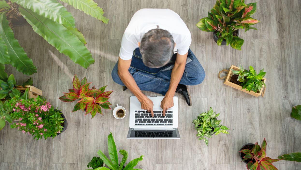 Γιατί πρέπει να βάλεις περισσότερα φυτά στο σπίτι σου