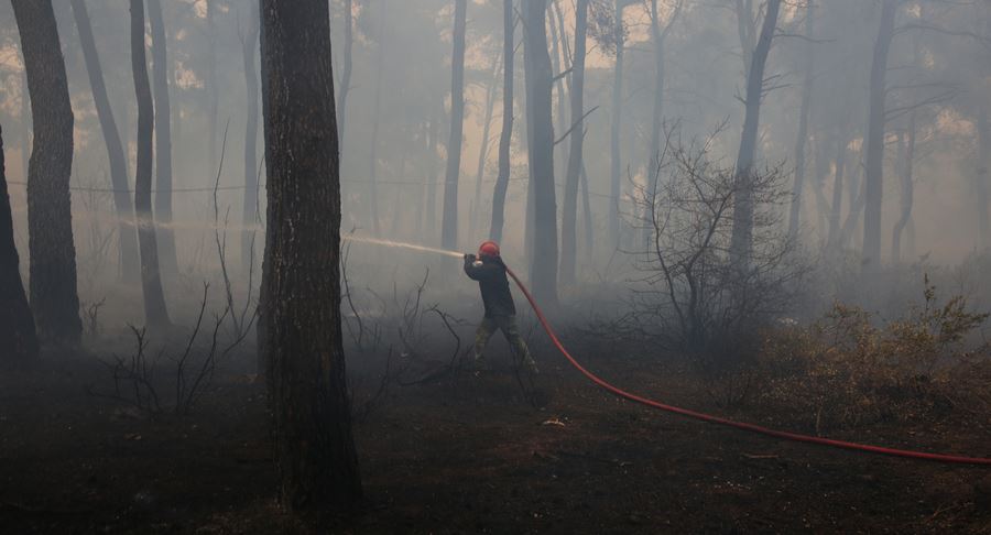 Σε εξέλιξη 56 πυρκαγιές στην Ελλάδα