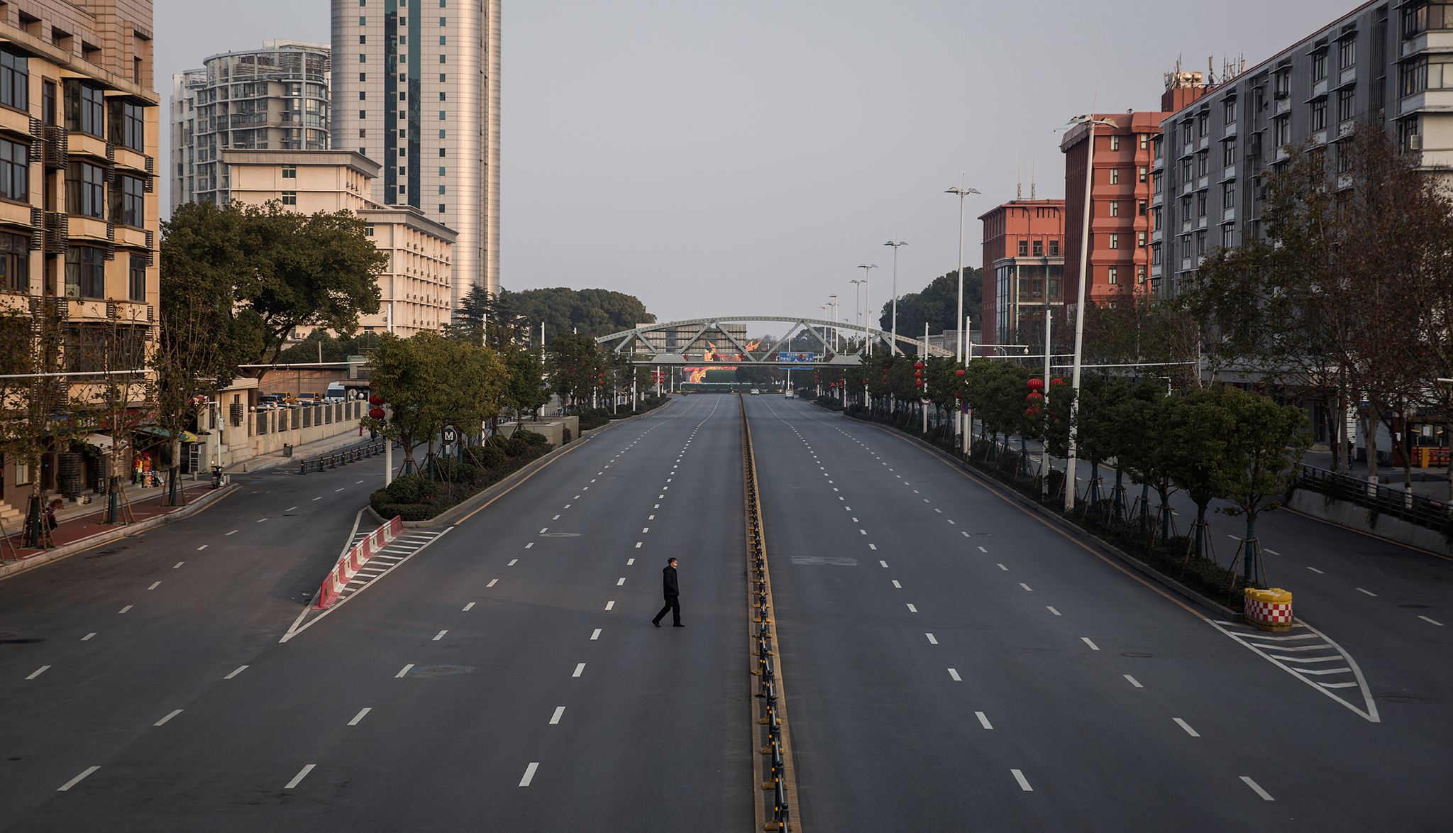 Αγορά άγριων ζώων στην Ουχάν "γέννησε" τον κορονοϊό;