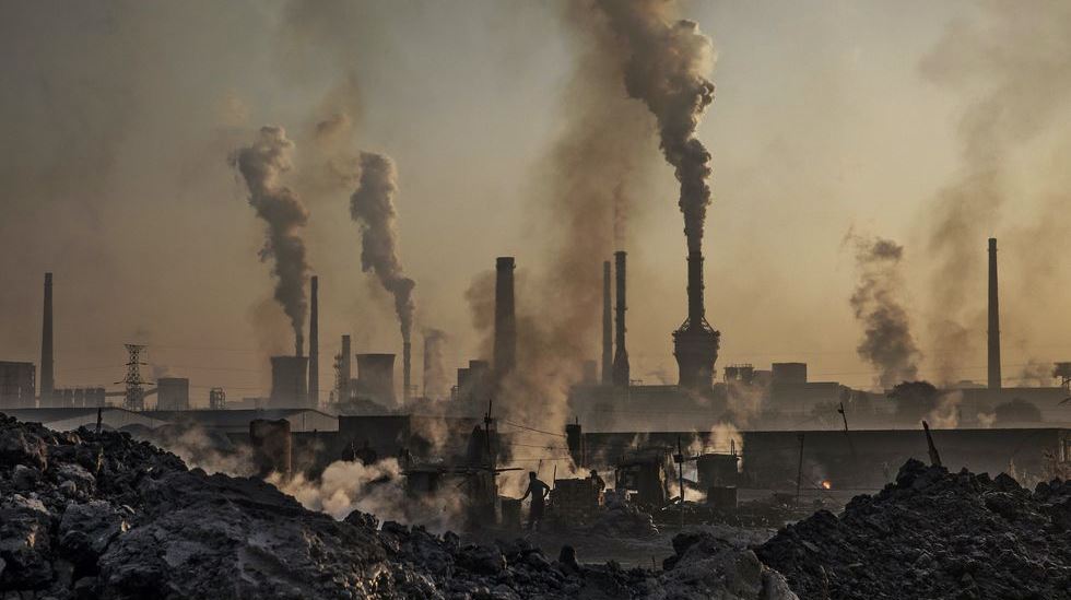 Ποια πανδημία; Οι 'περιβαλλοντικές' ζώνες θυσίας είναι το πρόβλημα